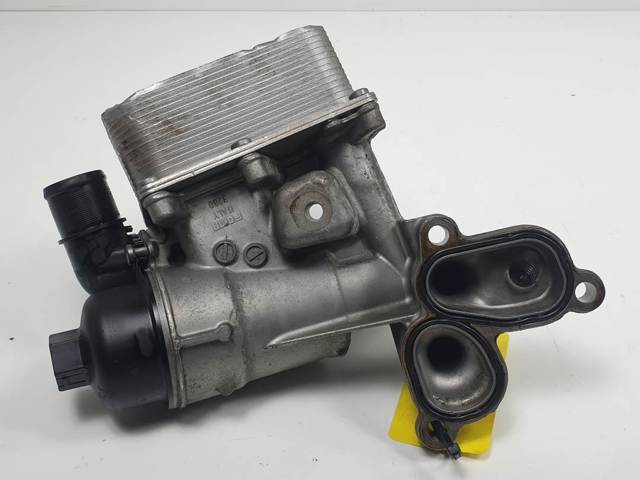 Polia de cambota 8200781898 NISSAN