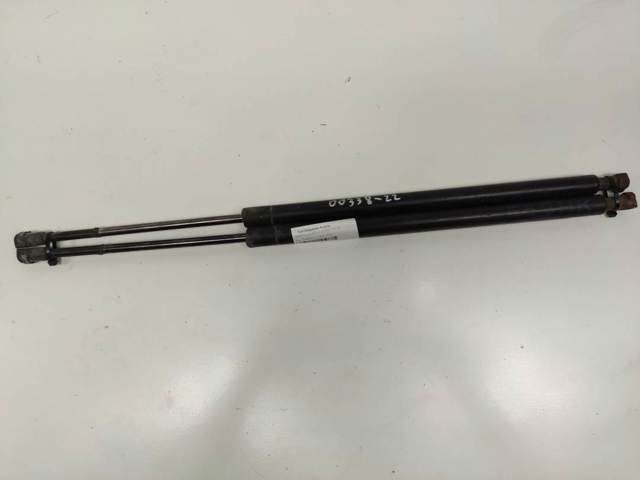 Amortecedor de tampa de porta-malas (de 3ª/5ª porta traseira) 8402405 BMW