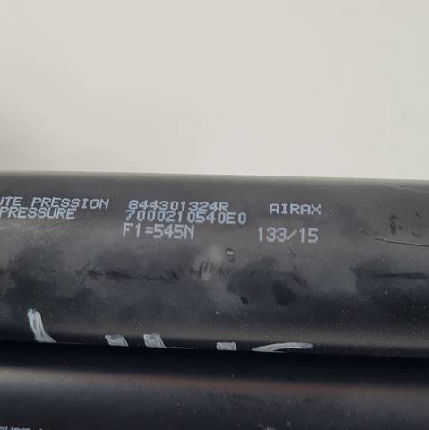 Amortecedor de tampa de porta-malas (de 3ª/5ª porta traseira) 844301324R RENAULT