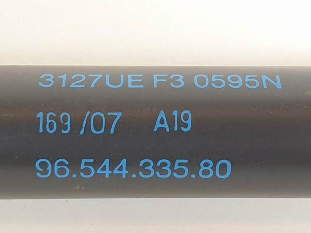 8731P4 Peugeot/Citroen
