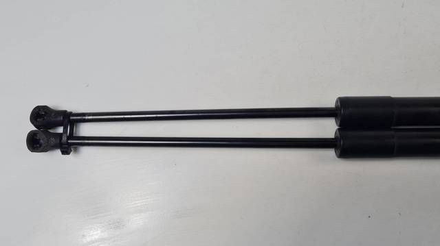 Amortecedor de tampa de porta-malas (de 3ª/5ª porta traseira) 904500004R RENAULT