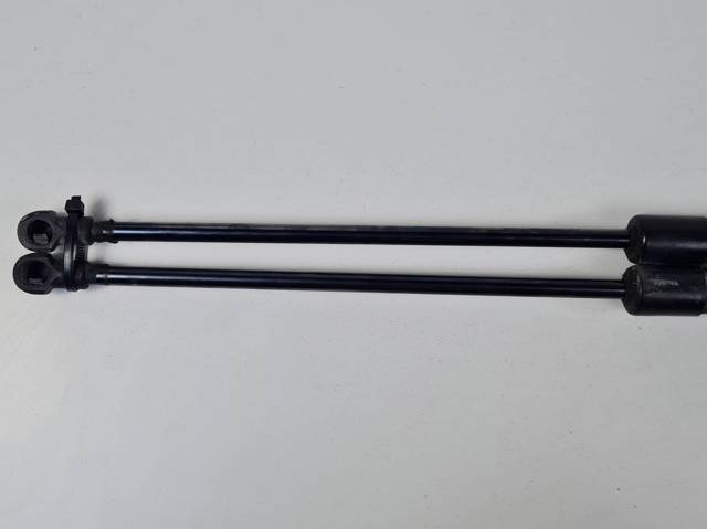 Amortecedor de tampa de porta-malas (de 3ª/5ª porta traseira) 904504EA0A NISSAN