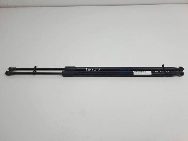 Amortecedor de tampa de porta-malas (de 3ª/5ª porta traseira) 904509U00C NISSAN