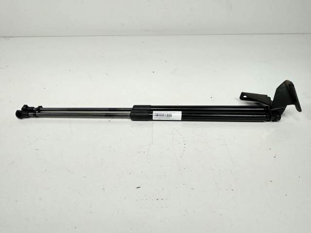 Amortecedor de tampa de porta-malas (de 3ª/5ª porta traseira) 90450JD01C NISSAN