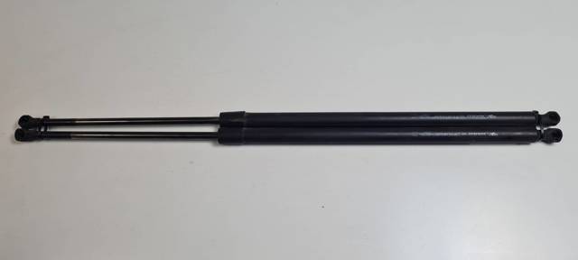 Amortecedor de tampa de porta-malas (de 3ª/5ª porta traseira) 904517337R RENAULT