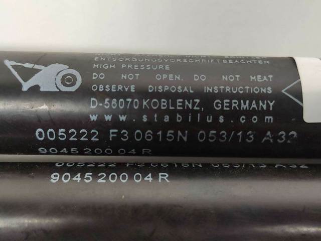 Amortecedor de tampa de porta-malas (de 3ª/5ª porta traseira) 904520004R RENAULT