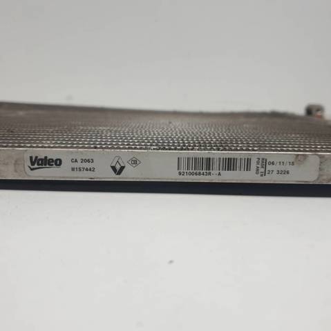 921006843R Renault (RVI)