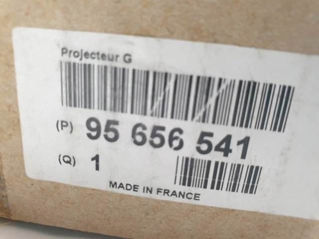 95656541 Peugeot/Citroen