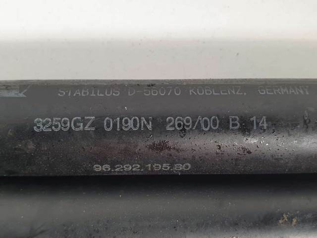 9629219580 Peugeot/Citroen