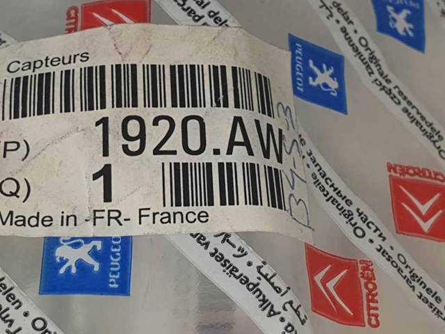 9639999880 Peugeot/Citroen