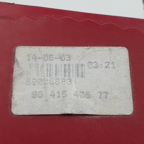 9641540677 Peugeot/Citroen