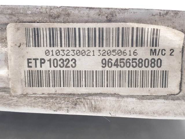 9645658080 Peugeot/Citroen