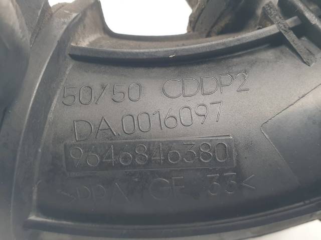 9646846380 Peugeot/Citroen