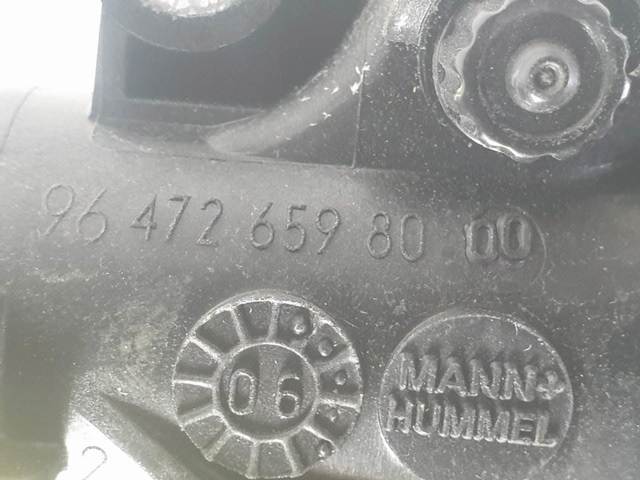 9647265980 Peugeot/Citroen