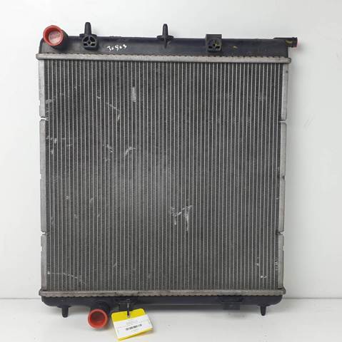 9653026580 Peugeot/Citroen