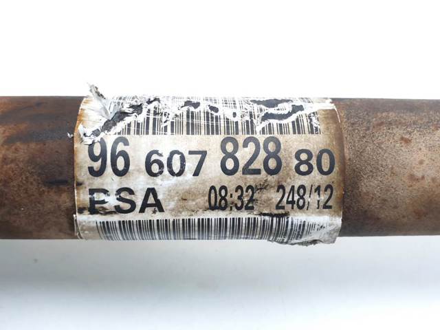 9660782880 Peugeot/Citroen
