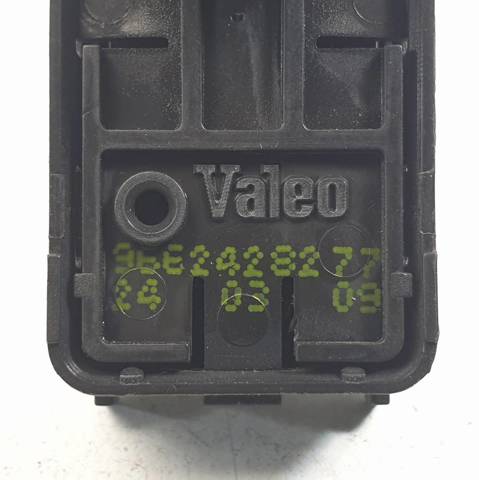 9662428277 Peugeot/Citroen