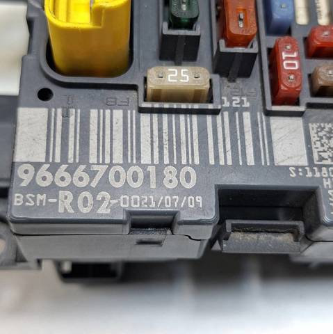 9666700180 Peugeot/Citroen