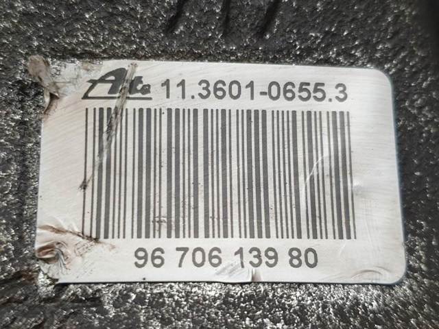 9670613980 Peugeot/Citroen