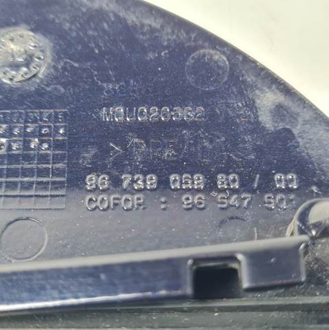 9673905980 Peugeot/Citroen