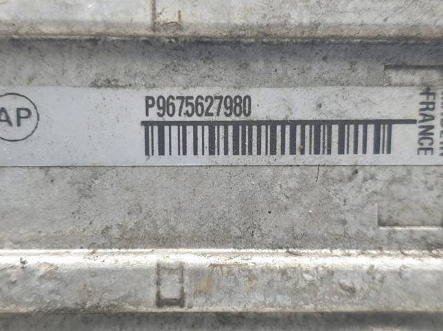 9675627980 Peugeot/Citroen