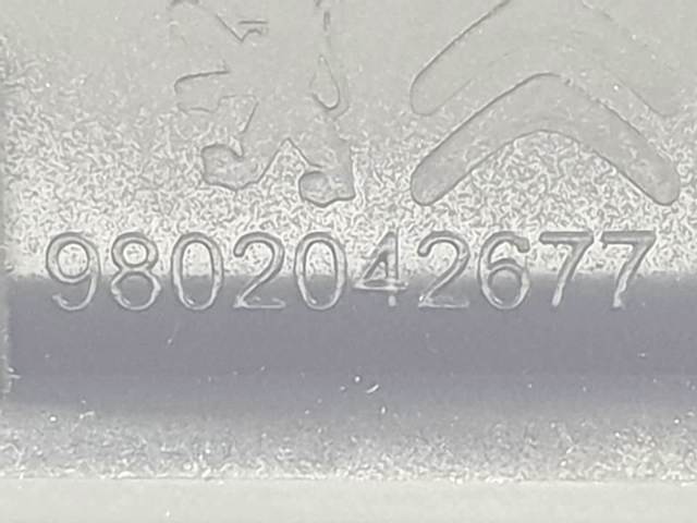 96762292ZD Peugeot/Citroen