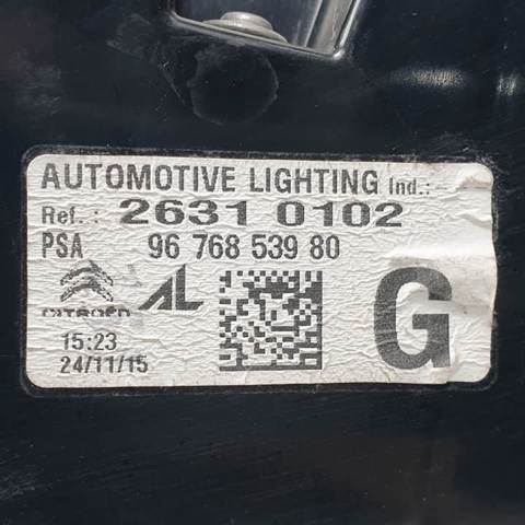9676853980 Peugeot/Citroen