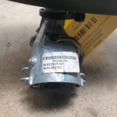 96813517XT Peugeot/Citroen