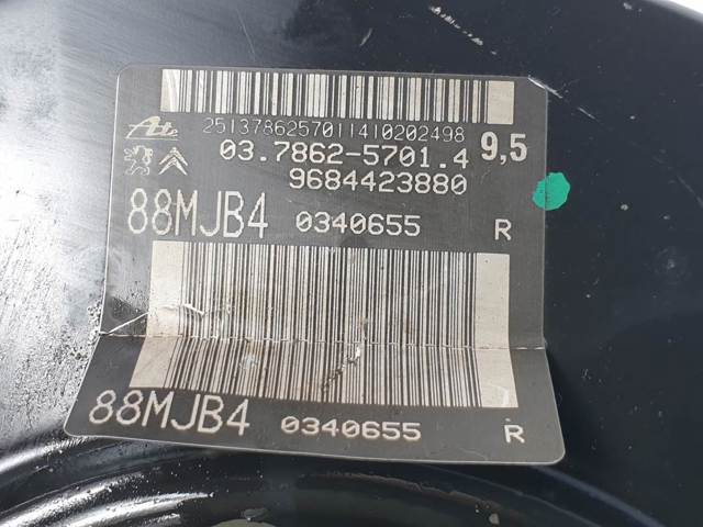 9684423880 Peugeot/Citroen