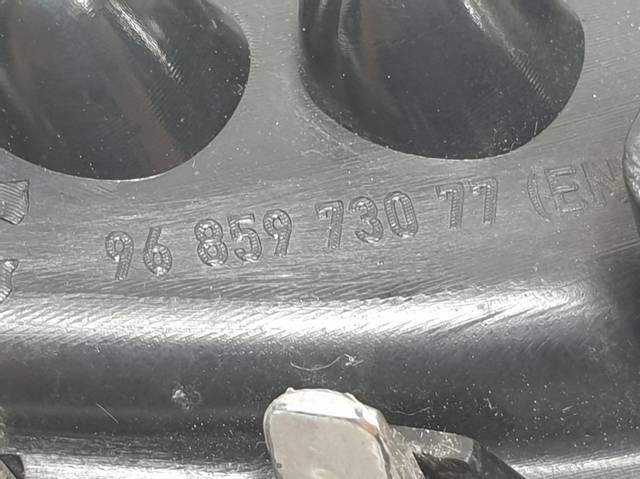 9685973077 Peugeot/Citroen