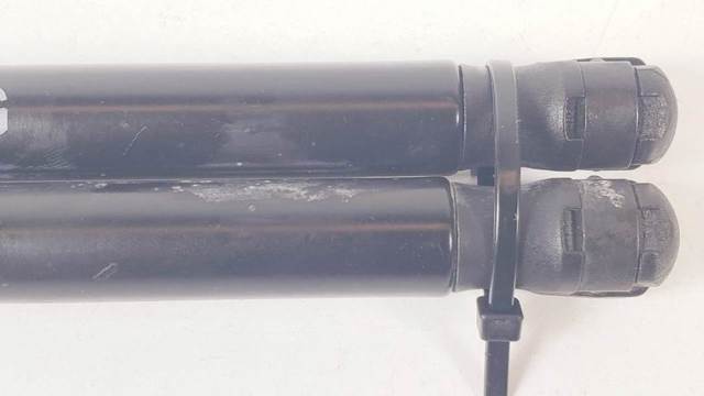Amortecedor de tampa de porta-malas (de 3ª/5ª porta traseira) 9800717780 PEUGEOT