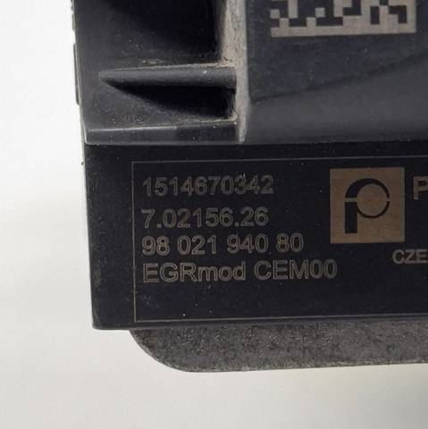 9802194080 Peugeot/Citroen