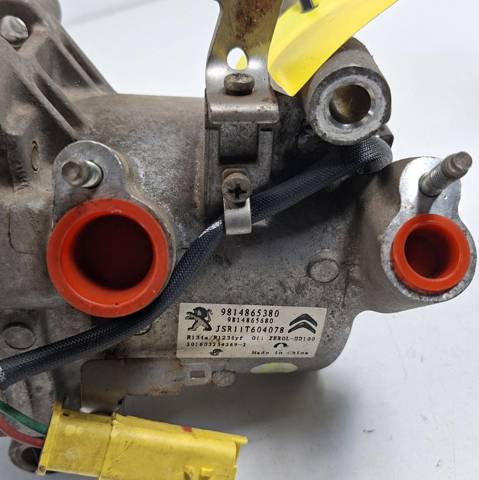9814865380 Peugeot/Citroen