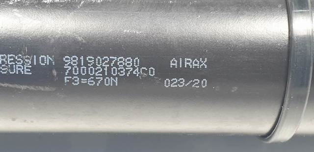 9819027880 Peugeot/Citroen