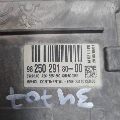 9825029180 Peugeot/Citroen