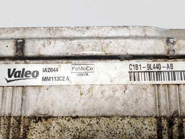 C1B19L440AB Ford