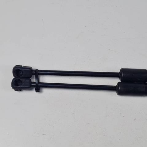 Amortecedor da capota FK7216C826AC LAND ROVER