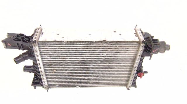 214106421R Renault (RVI)