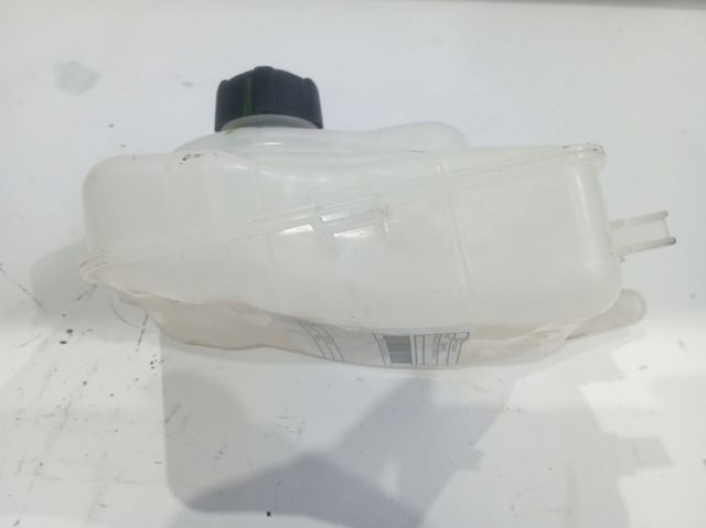 217100005R Renault (RVI)