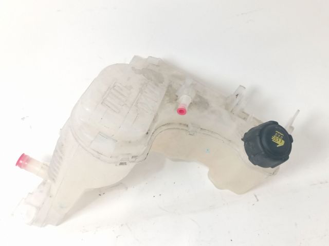 Tanque de expansão do sistema de esfriamento 217100014R RENAULT