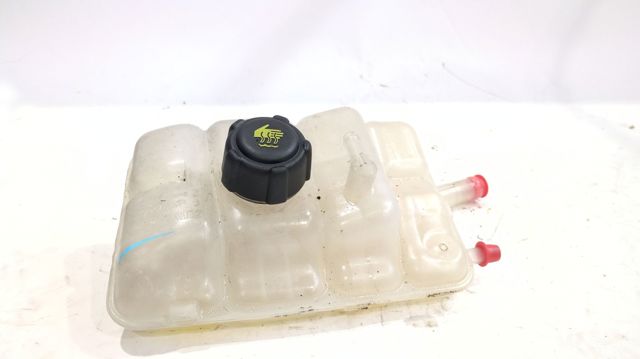 217104048R Renault (RVI)