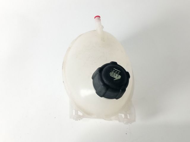 217104354R Renault (RVI)