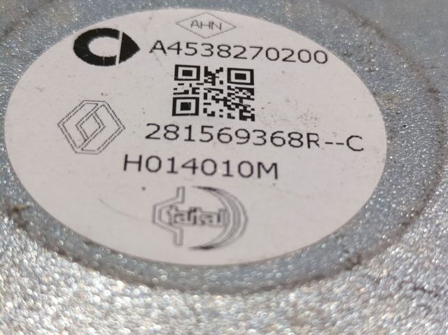 281569368R Renault (RVI)