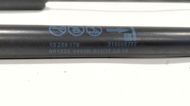 Amortecedor de tampa de porta-malas (de 3ª/5ª porta traseira) 315005777 OPEL