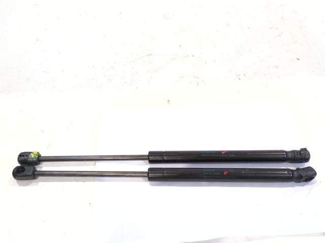 Amortecedor de tampa de porta-malas (de 3ª/5ª porta traseira) 3C5827550B VAG