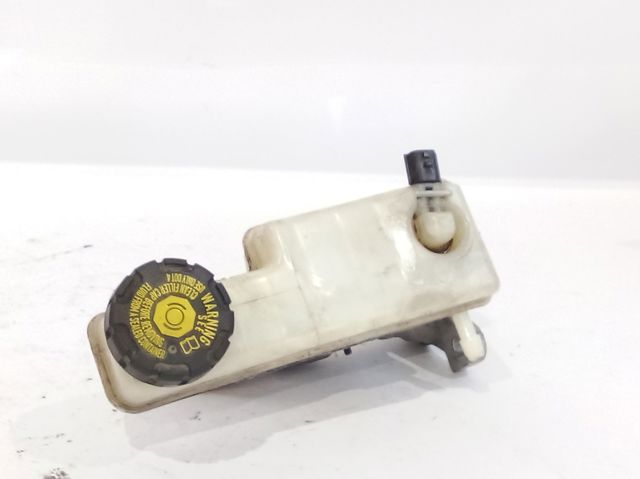 460910009R Renault (RVI)