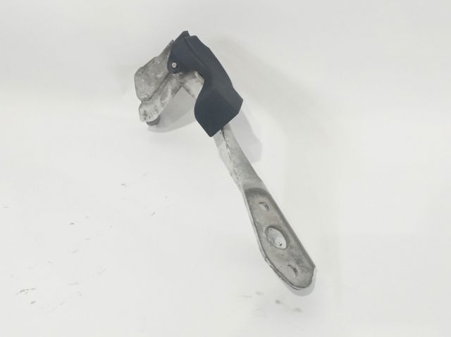 Gozno da capota esquerdo 654010006R RENAULT