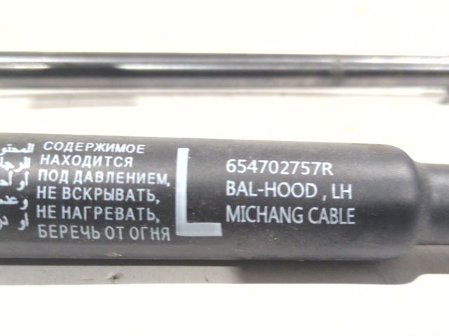 654702757R Renault (RVI)
