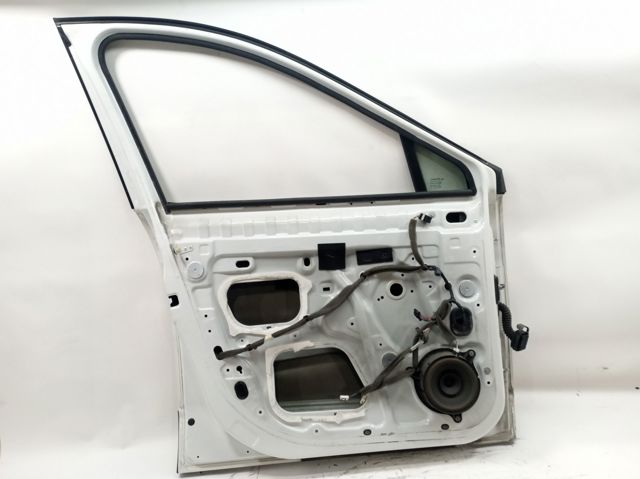 Porta dianteira esquerda Renault Scenic III JZ0, JZ1 ao melhor preço