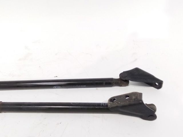 Amortecedor de tampa de porta-malas (de 3ª/5ª porta traseira) 81770F1000 HYUNDAI